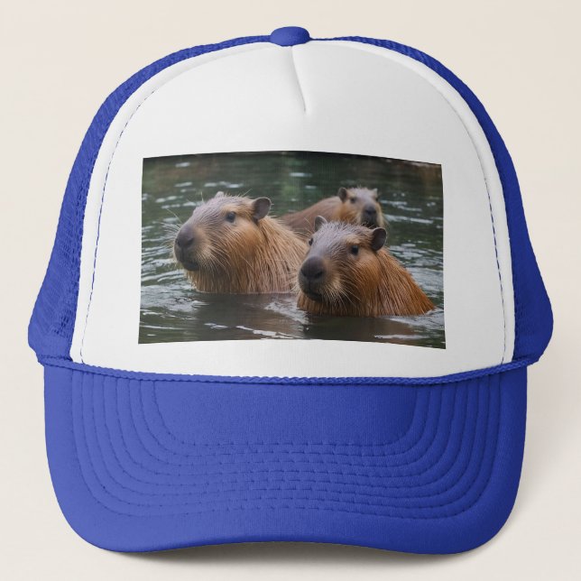 Casquette La baignade de Capybara dans la rivière, (Devant)