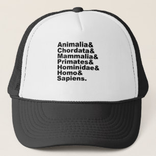 Casquette La taxonomie de l'homme Du règne à l'espèce