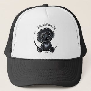 Casquette Labradodle noir IAAM