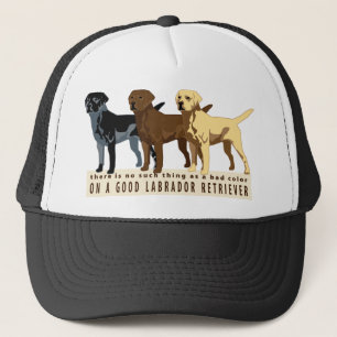 Casquette Labrador retriever 3 couleurs
