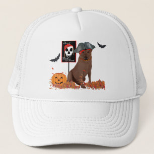 Casquette Labrador Retriever Marron Pirate