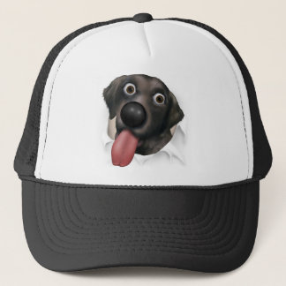 Casquette Labrador retriever (noir) éclatant