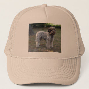 casquette lagotto-romagnolo