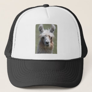 Casquette Lama