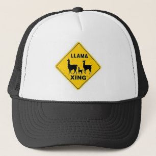 Casquette Lama