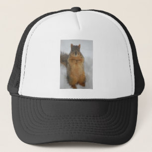 Casquette L'amour des écureuils