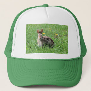 Casquette Lapin