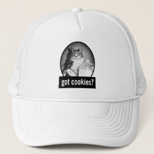 Casquette Le Lait De Chat De Juge