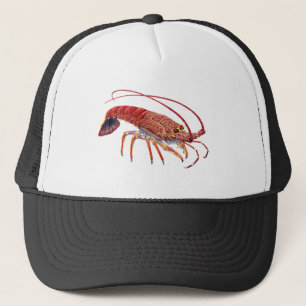 CASQUETTE LE SPINEY UN