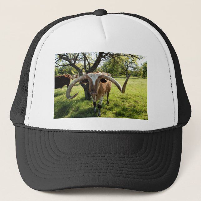 Casquette Le Texas Longhorn Taureau (Devant)