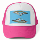 Les canards Ancona appareillent