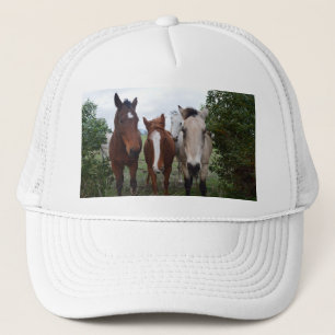 Casquette Les Cheveux Frissés, Quatre Pals De Cheval,