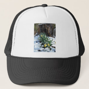 Casquette Les jonquilles jaunes dans la neige