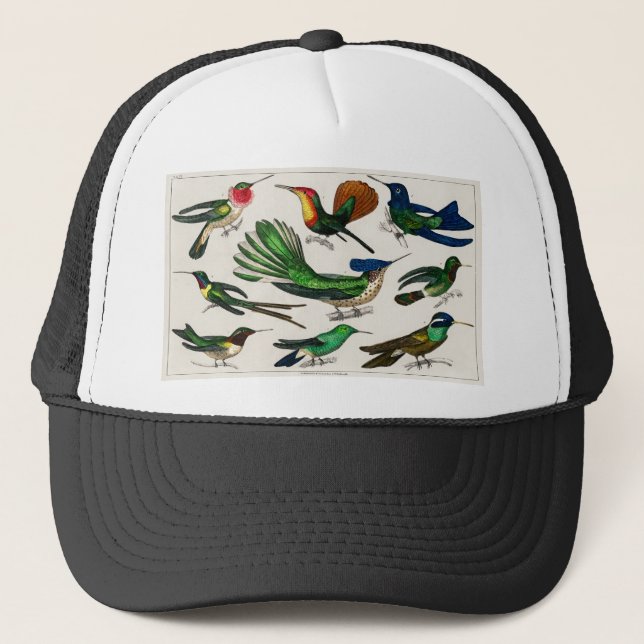 Casquette Les oiseaux de la jungle pour les enfants cadeaux  (Devant)