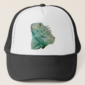 Casquette Lézard d'iguane