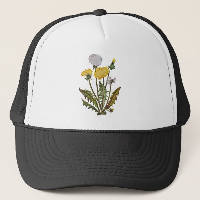 Casquette Lions Dandy Dorés Brodés (Devant)
