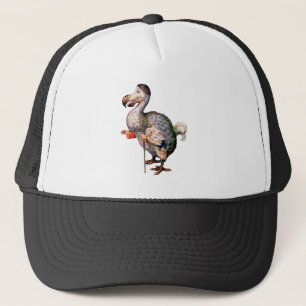 Casquette L'oiseau de dronte