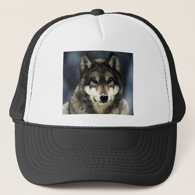 Casquette Loup (Devant)