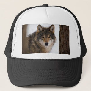 Casquette Loup gris européen