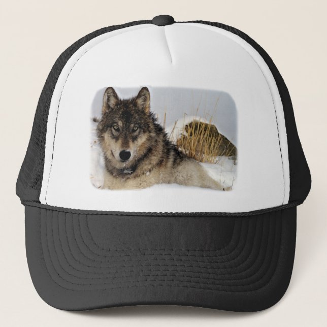 Casquette Loup gris ou loup de bois de construction (Devant)