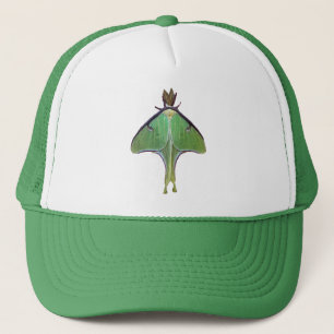 Casquette Luna Moth