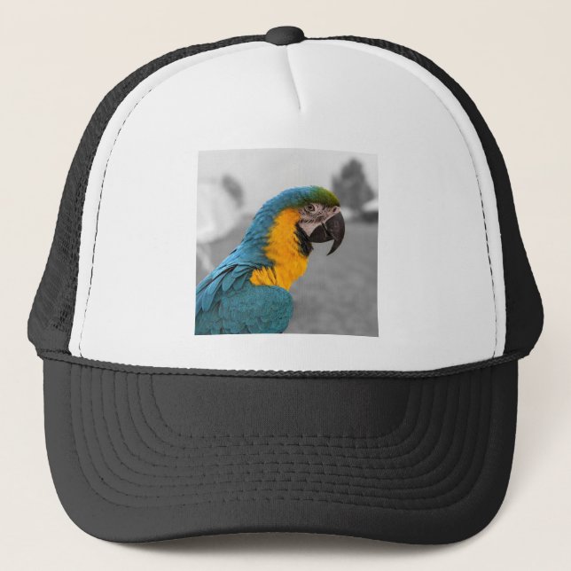 Casquette Macaw Parrot (Devant)