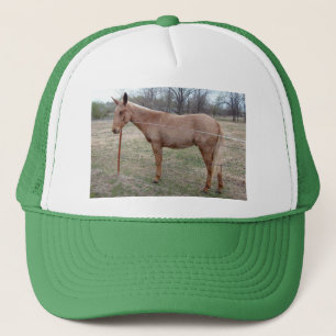 Casquette Magnifique Mule !