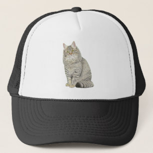 Casquette Maine Coon