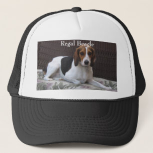 Casquette majestueux de chien de chasse de beagle