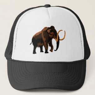 Casquette Mammouth laineux