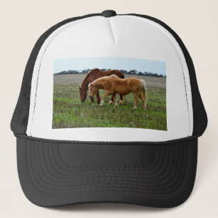Casquette Mare De Châtaignes Et Foin De Palomino,