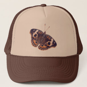 Casquette Maronnier américain