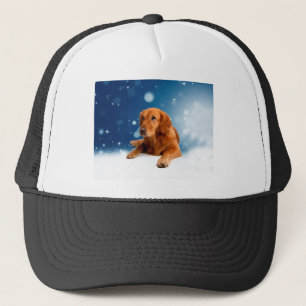 Casquette Mignonne Golden Retriever Chien assis dans les éto