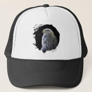 Casquette Milan Oiseau Animal Vie Sauvage Forêt Nature