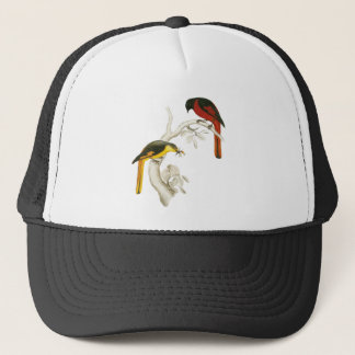 Casquette Minivet Court-affiché
