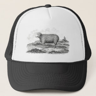 Casquette Modèle vintage d'agneau de brebis de moutons de