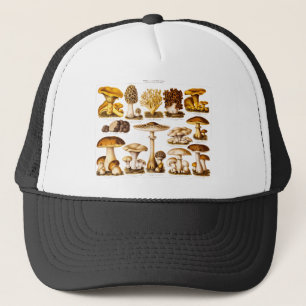 Casquette Modèle vintage de champignons de variété de