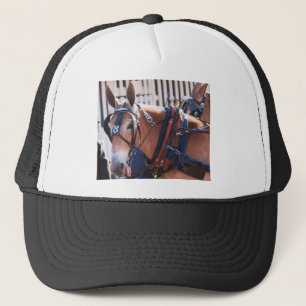 Casquette mules et ânes 026