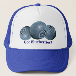 Casquette Myrtilles obtenues ?