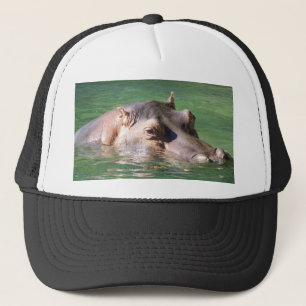 Casquette Natation d'hippopotame sur la surface