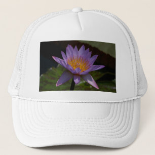 Casquette Nénuphar de Lotus violet