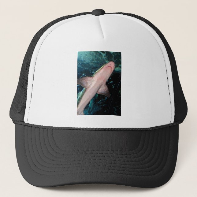 Casquette NJ Shark CB (Devant)