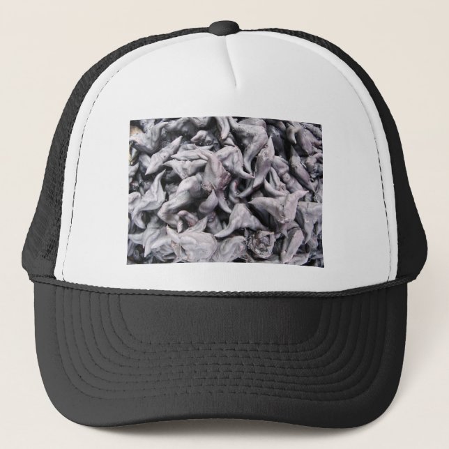 Casquette Noix de buffle - Water Caltrop (Devant)