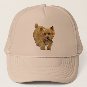 Casquette Norwich Terrier