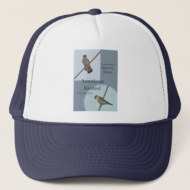 Casquette Objets de Kestrel Américain (Falco sparverius) (Devant)