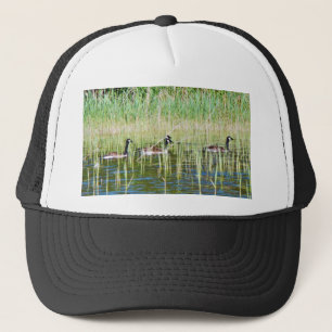 Casquette Oies canadiennes nageant