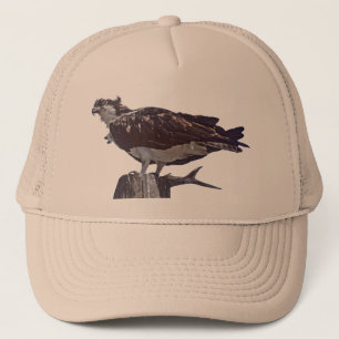 Casquette Oiseau de balbuzard
