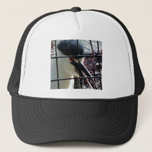 Casquette Oiseau exotique à l'image Zoo