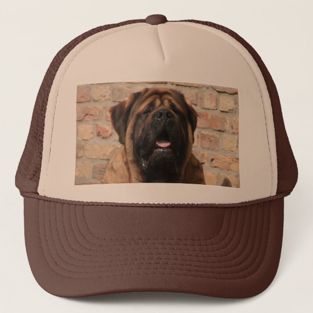 Casquette old english mastiff (Devant)