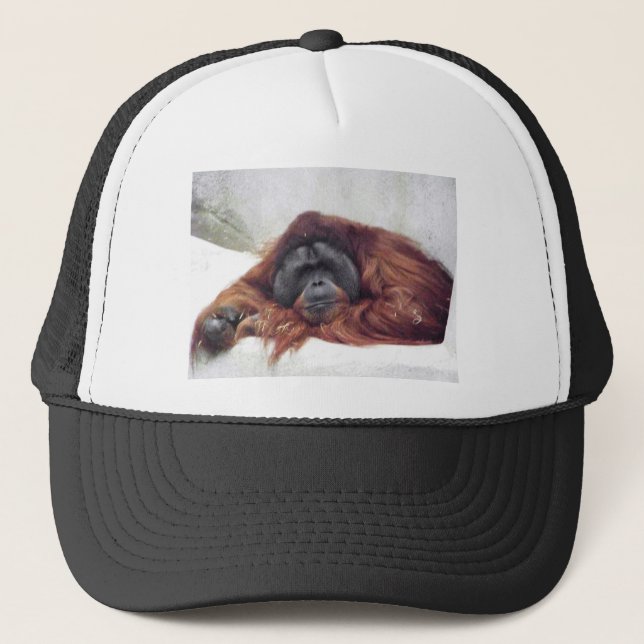 Casquette Orang-outan (Devant)